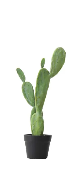 Creative Co-op Cactus in Pot Faux Botanical, Green